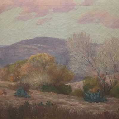 Landscape Near Medina Lake
