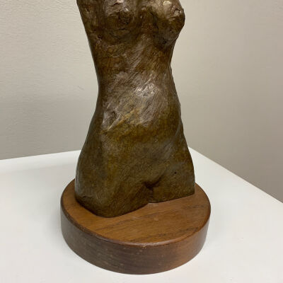 Torso