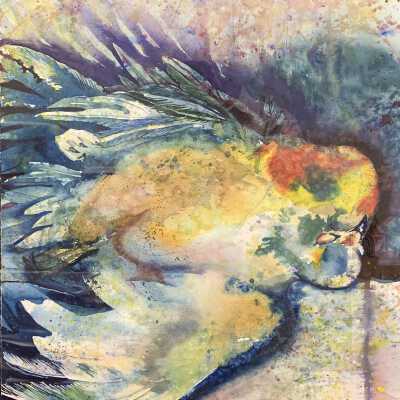 Feathers