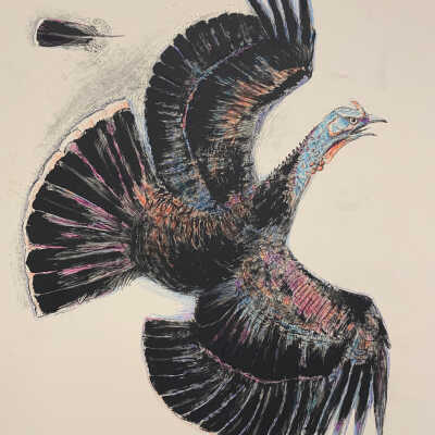 Untitled (turkey)