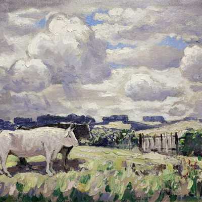 Morning Pasture (The Cows)