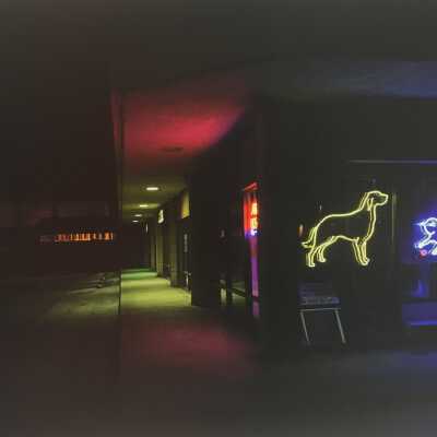 Animal Hospital, Santa Cruz, California