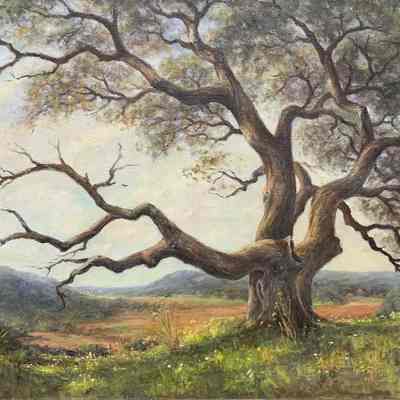 Landscape