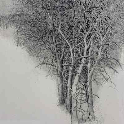 Winter Grove