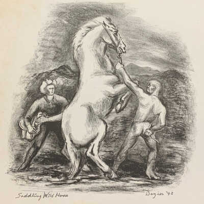 Saddling Wild Horse