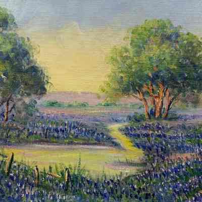 Bluebonnets
