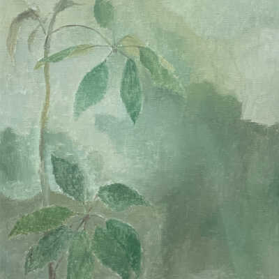 Leaves