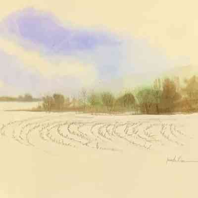 Snowy Field