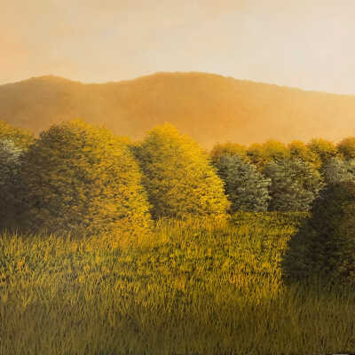 Valley Morning