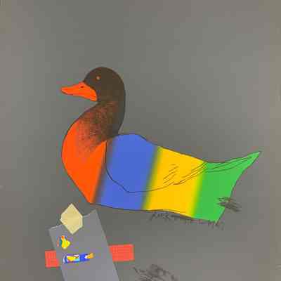 Duck Out of Water