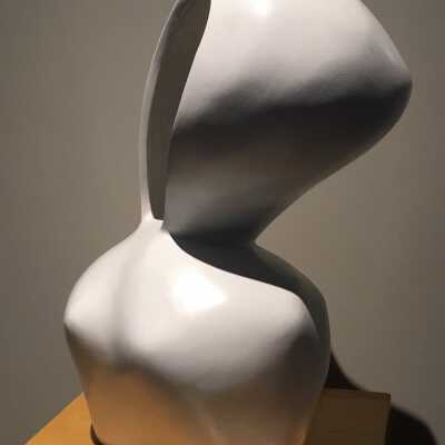 Torso X