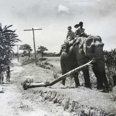 Men being transported through a swamp to check communication lines