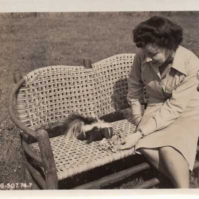 Photo Collection, Air WACs