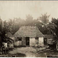 A Native hut, Grantstown (print 517)