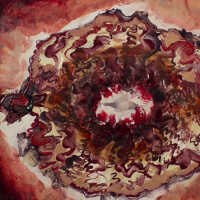 The Blastocysts