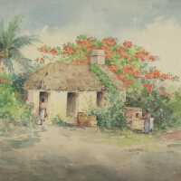 Native Hut, Nassau