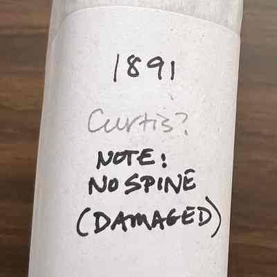 Ledger 1891 Curtis?