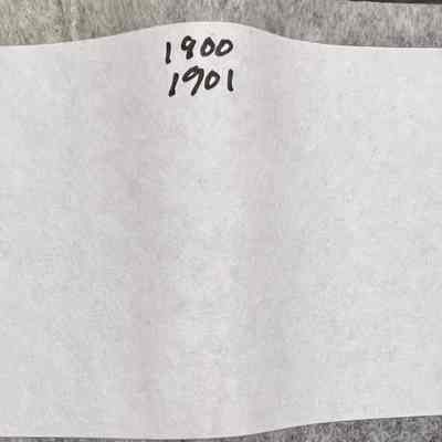 Ledger 1900-1901