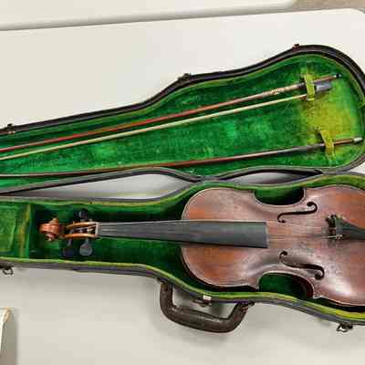Violin