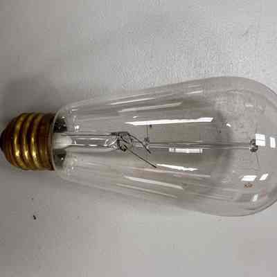Electric Light Bulb