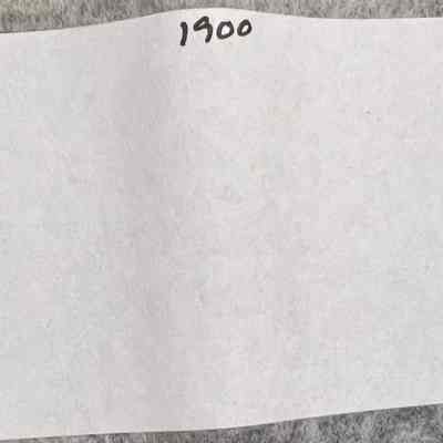Ledger 1900