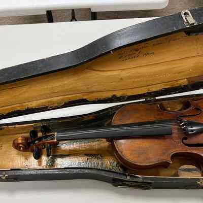 Violin