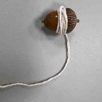 Acorn Top toy
