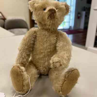 Teddy Bear
