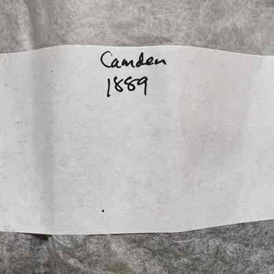 Ledger 1889