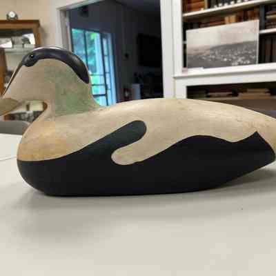 Decoy