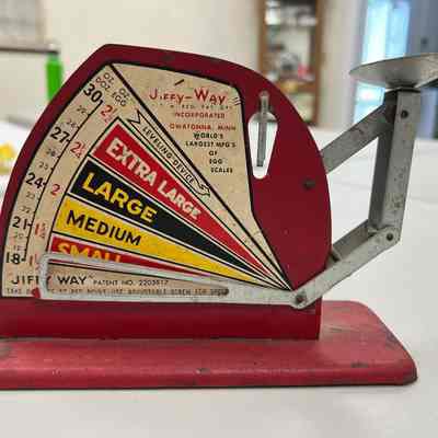 Egg Scale