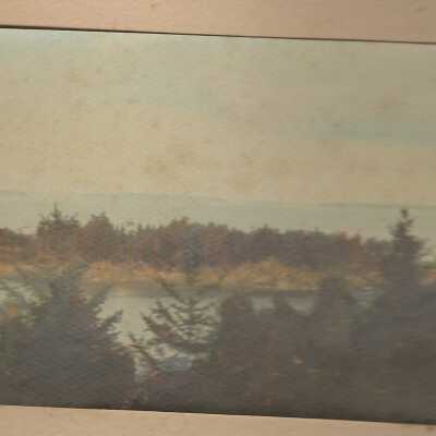 Curtis Island