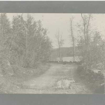Turnpike Drive