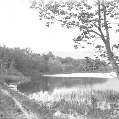 Bog Bridge