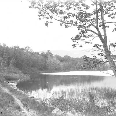 Bog Bridge