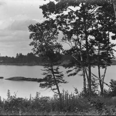 Curtis Island