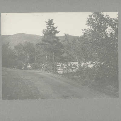 Road near Megunticook Lake
