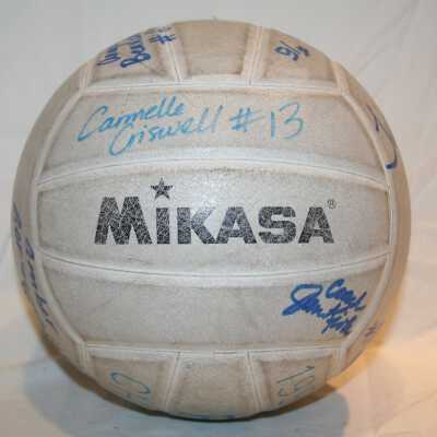 Volleyball