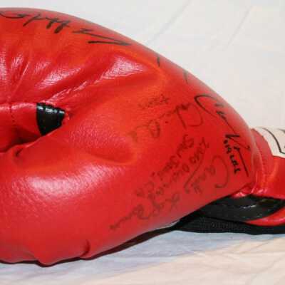 Glove, Boxing
