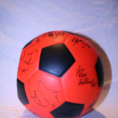 Ball, Soccer