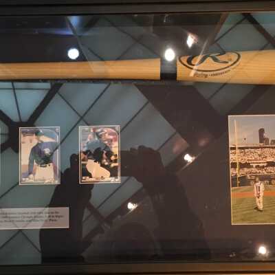 Bat, Baseball