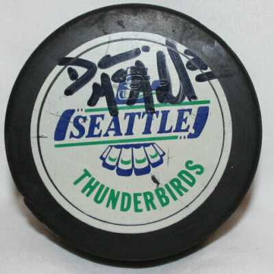 Puck, Hockey