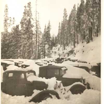 Print, Photographic