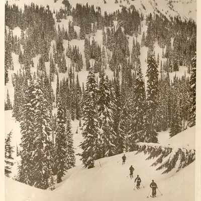 Print, Photographic