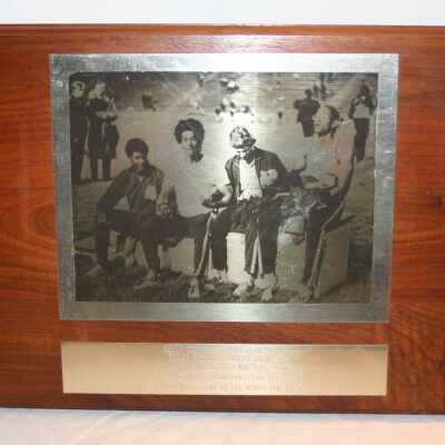Plaque