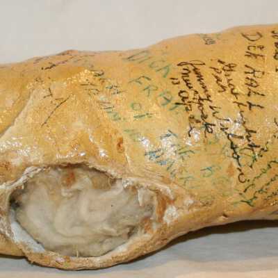 Splint