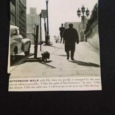 Fifi being walked by Monteux in San Francisco
