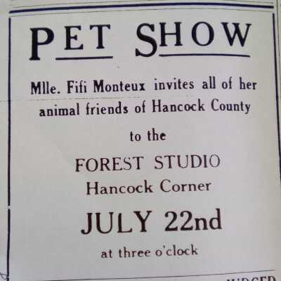 Mlle. Fifi invitation to pet show at Forest Studio