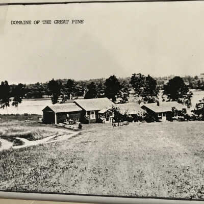 Domaine of the Great Pine