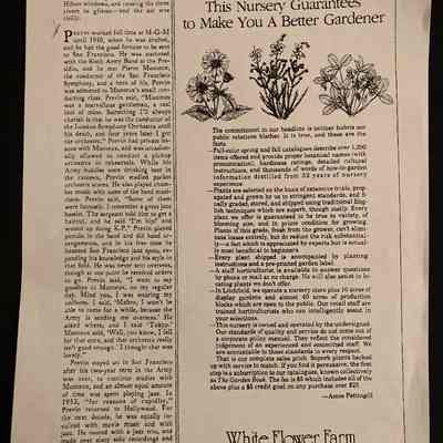 Misc. Articles